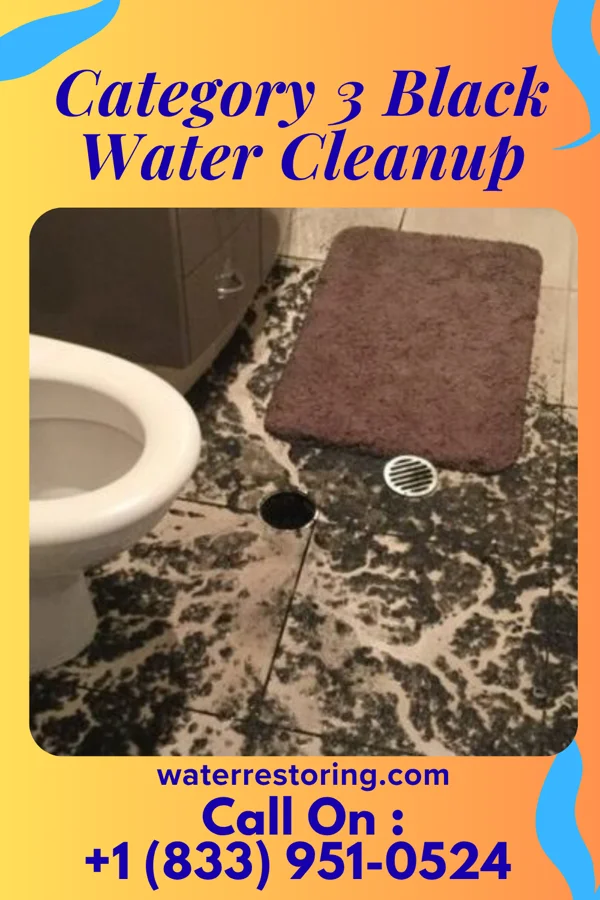Category 3 Black Water Cleanup in Somers, WI