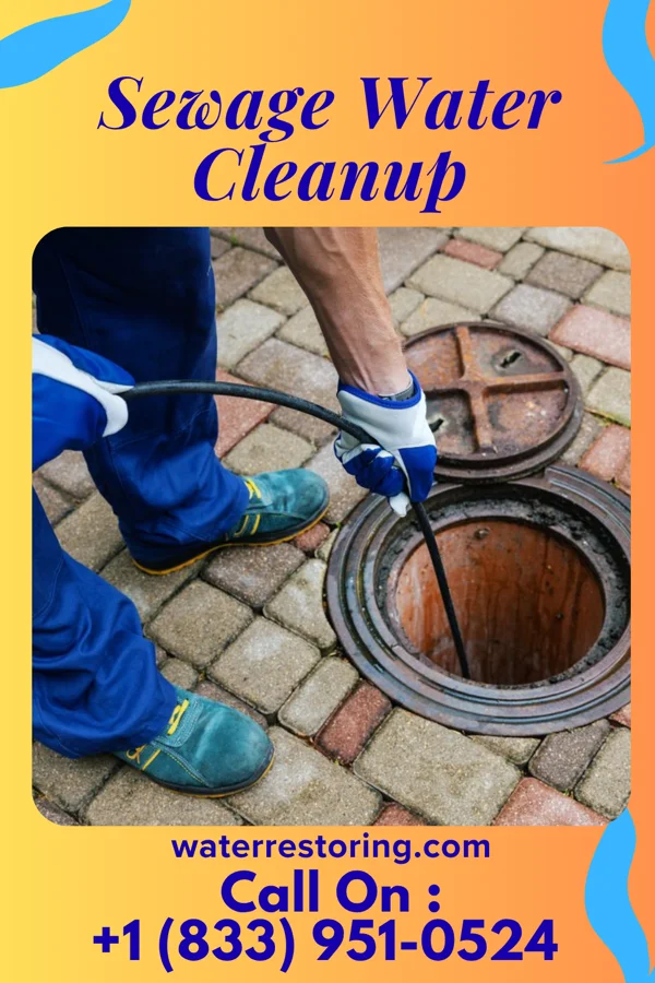 Sewage Water Cleanup in Somers, WI